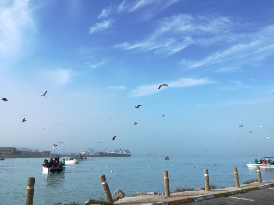 3 Bedroom Property for Sale in St Helena Views Western Cape